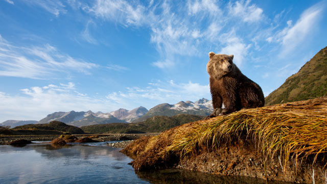 alaska 135769