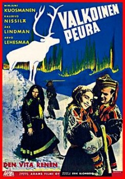 LAPPONIA - IL BIANCO PASTORE DI RENNE